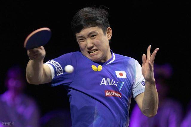包含奥地利乒乓球队爆冷德国乒乓球队，张本智和统治全场的词条