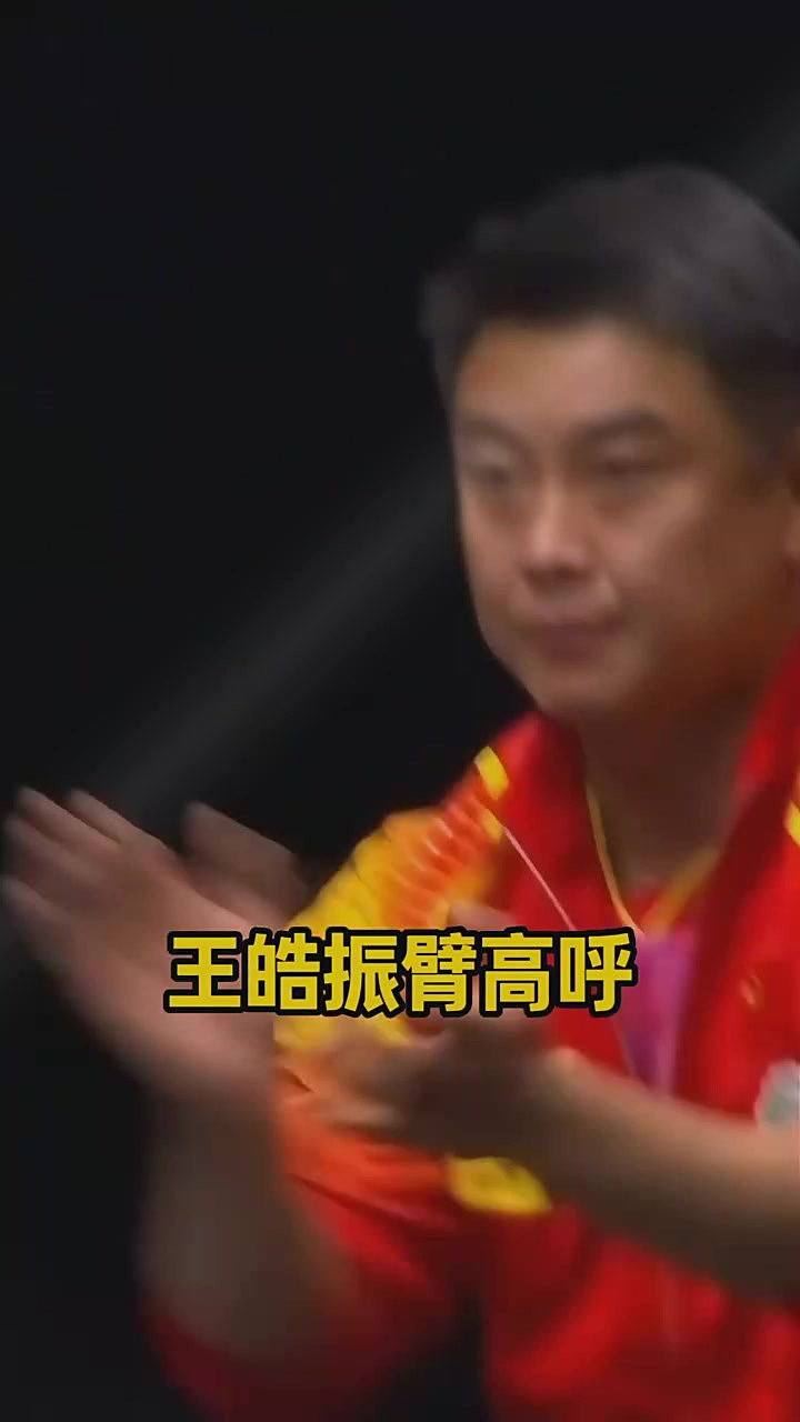熊猫直播-奥地利乒乓球队逆转英国乒乓球队，王皓关键制胜的简单介绍